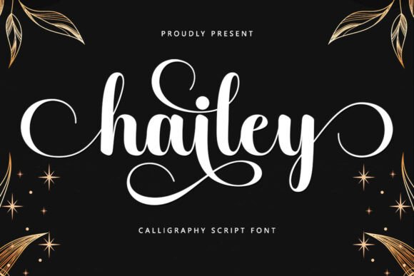 Hailey: The Elegant Script Font for Modern Designers
