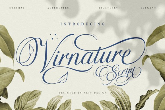 Virnature: Where Nature's Elegance Meets Modern Design